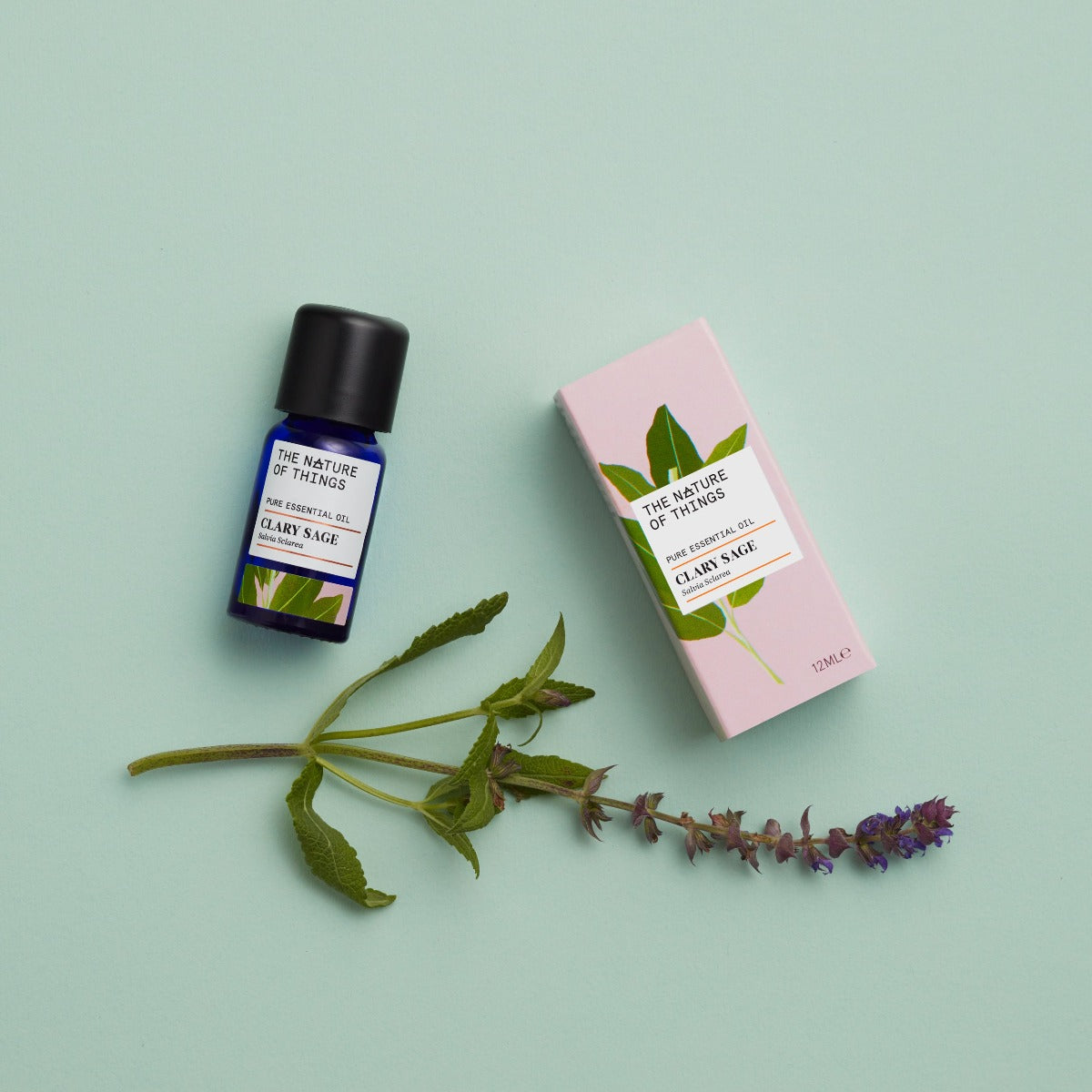 Clary Sage Essential Oil from The Nature of Things
