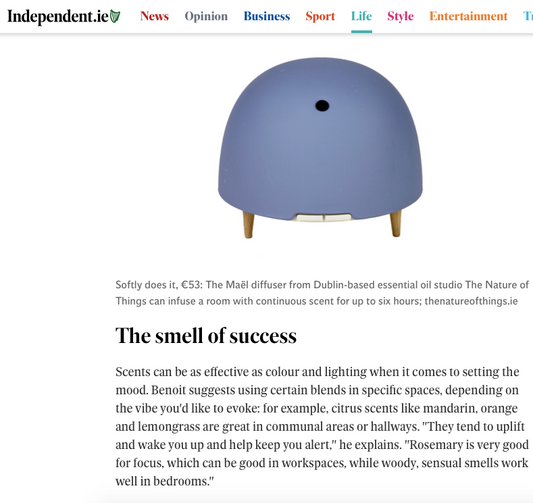 The Independent, June 2020